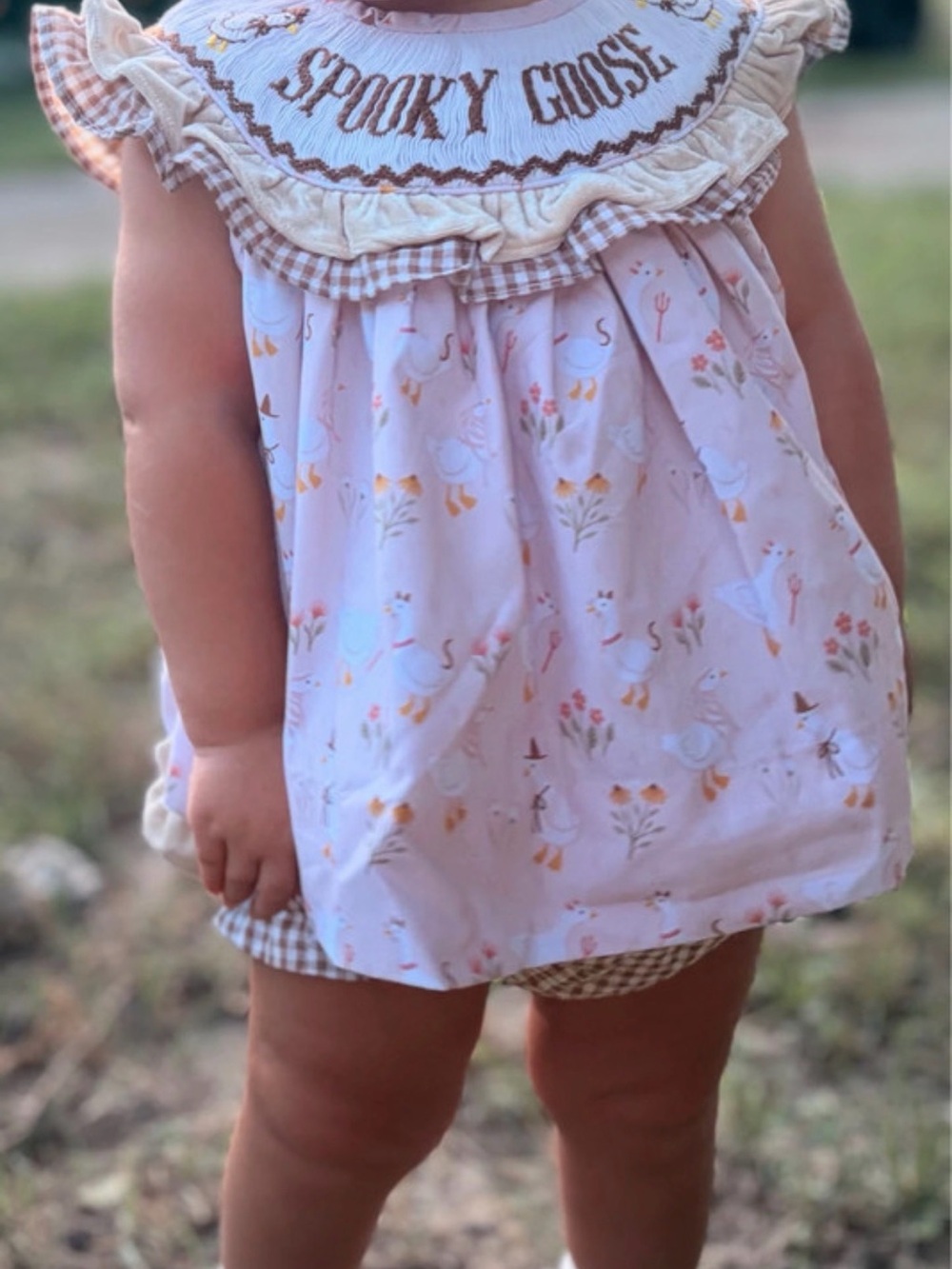Spooky Goose Pink Ruffle Collar Kids Matching Set